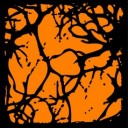 Contest inmage